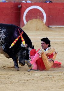Bullfighter dies